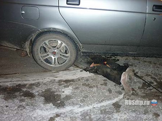 В Волгограде в страшном ДТП погибли 6 человек