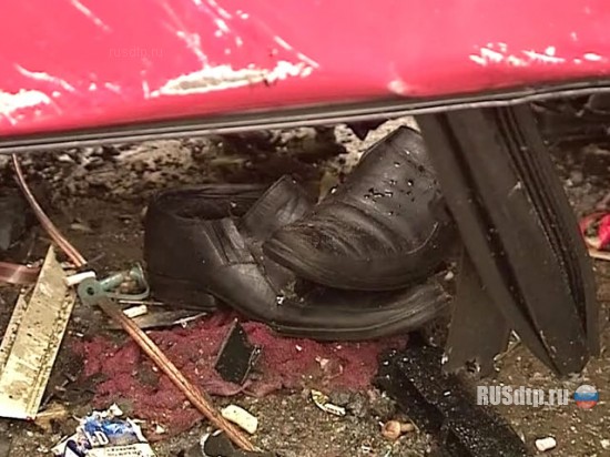 Женщина на «Тойоте» устроила страшную аварию в Подмосковье