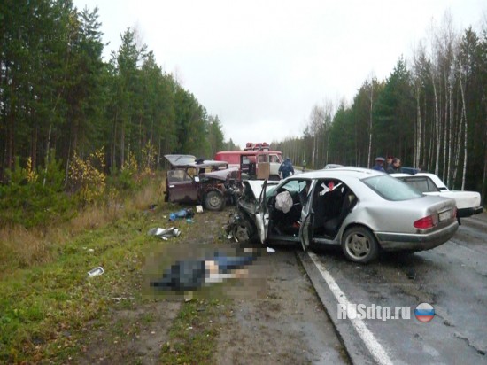 На трассе Вологда - Новая Ладога погибли три человека