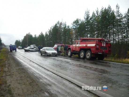 На трассе Вологда &#8212; Новая Ладога погибли три человека