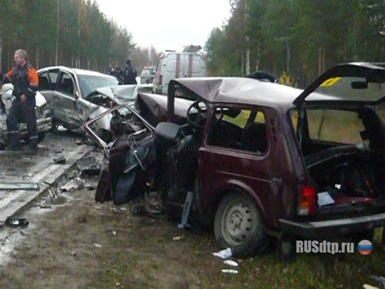 На трассе Вологда - Новая Ладога погибли три человека