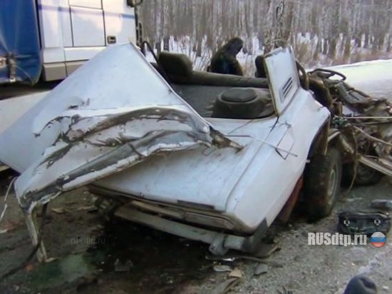 Водитель ВАЗ-2106 уснул за рулем
