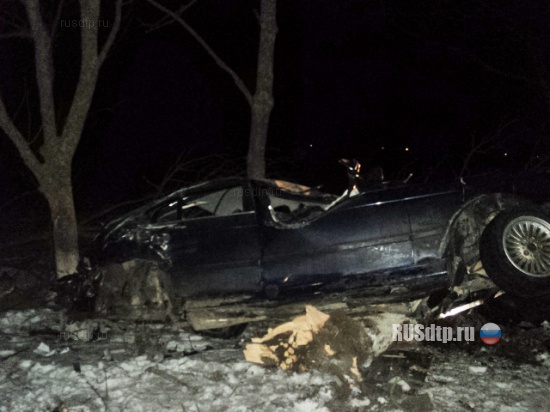 «БМВ» врезался в дерево: водитель погиб