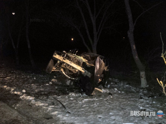 «БМВ» врезался в дерево: водитель погиб