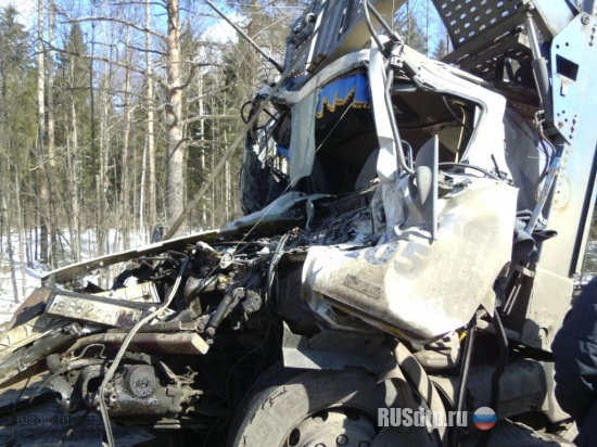 Столкновение 4-х грузовиков в Тверской области