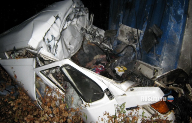 В Нижегородской области в ДТП погибли 5 человек