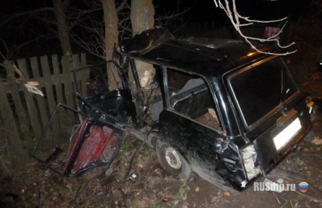 В Вологде ВАЗ врезался в дерево, погиб пассажир