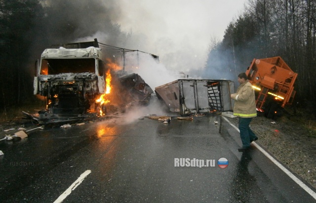 Погибли два водителя