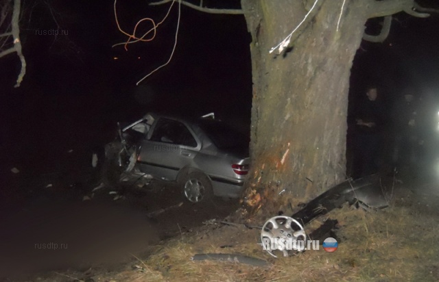 Пежо врезался в дерево: 3 человека погибли