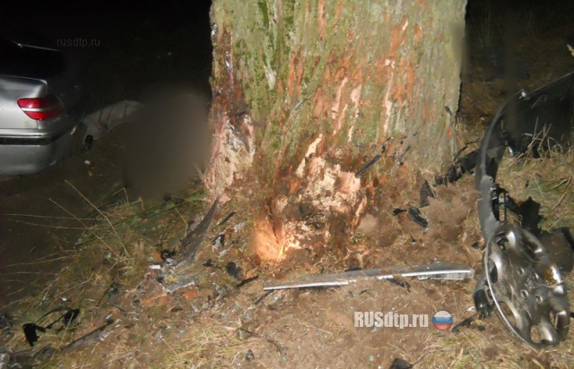Пежо врезался в дерево: 3 человека погибли