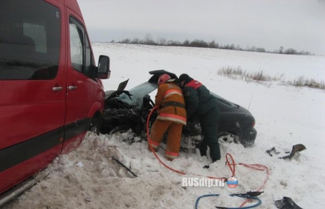 Спринтер выехал на встречку