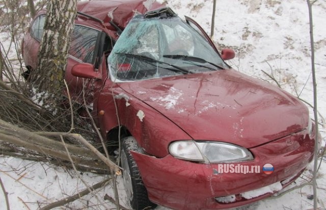 Водитель погиб