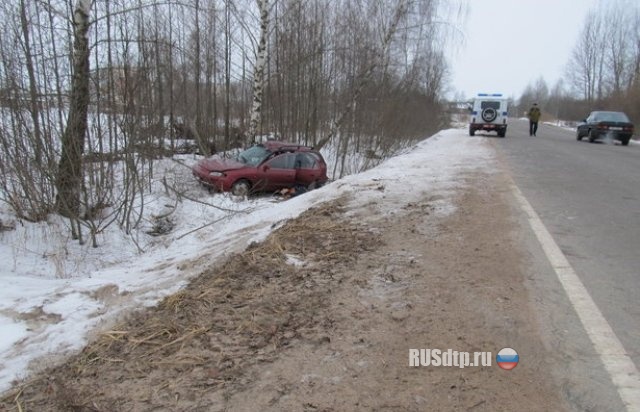 Водитель погиб