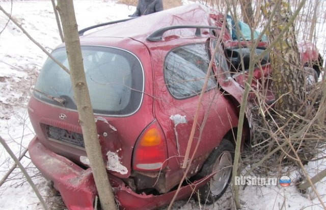 Водитель погиб