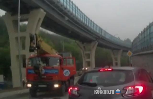 Всем повезло