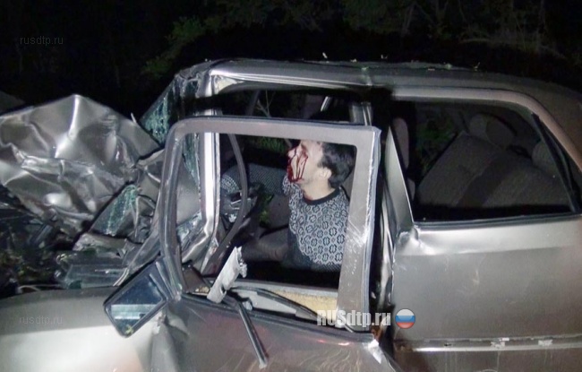 Опять дерево