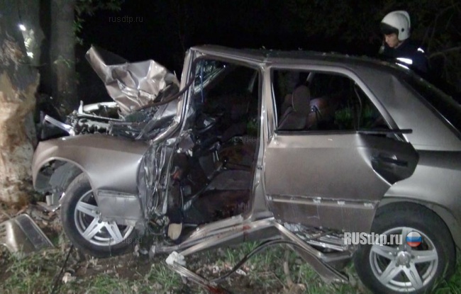 Опять дерево