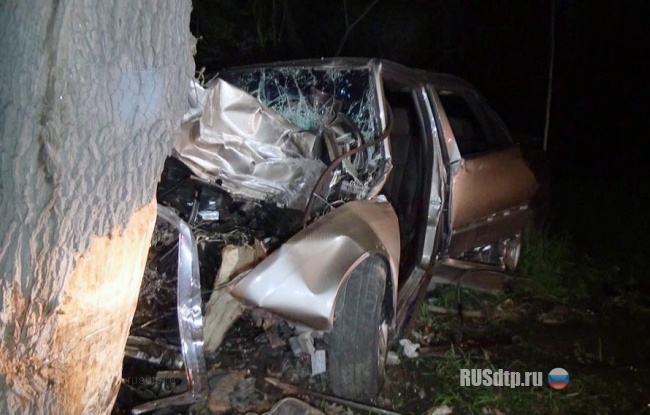 Опять дерево