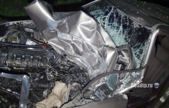 Опять дерево