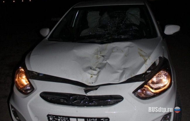 Сто лошадей против теленка