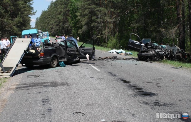 Страшная авария в Гомельской области