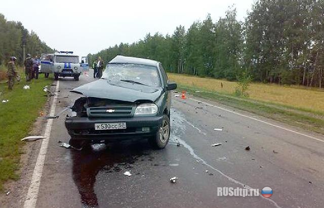 В Липецкой области в ДТП погибли 2 человека