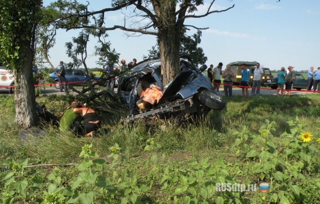 Шестеро молодых погибли в жутком ДТП на Николаевщине