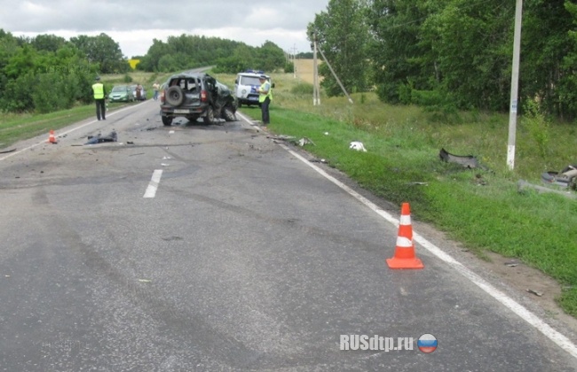 В Липецкой области в ДТП погибли 2 человека