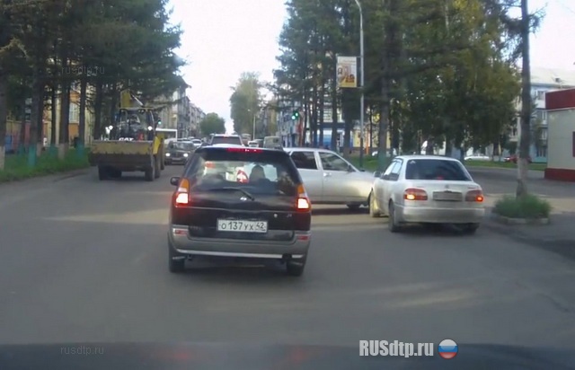 Весь черный и пушистый