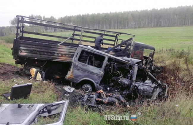 Во Владимирской области в ДТП погибли 7 человек