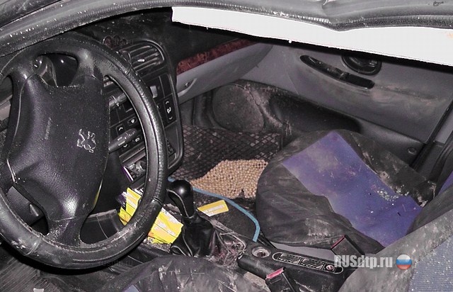 Пассажирка погибла под автомобилем, в котором ехала