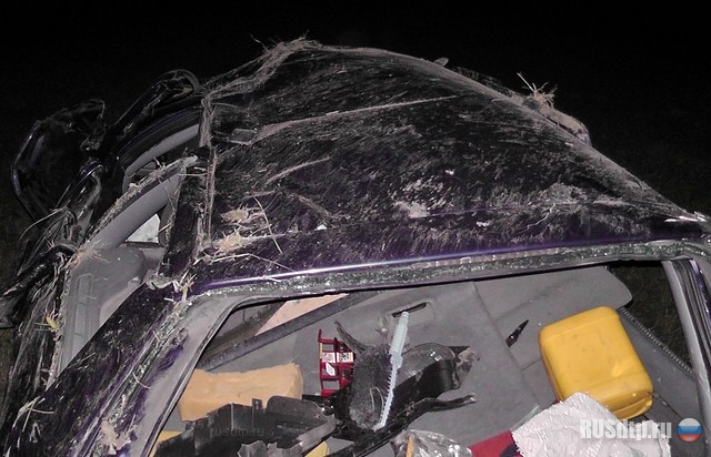 Пассажирка погибла под автомобилем, в котором ехала