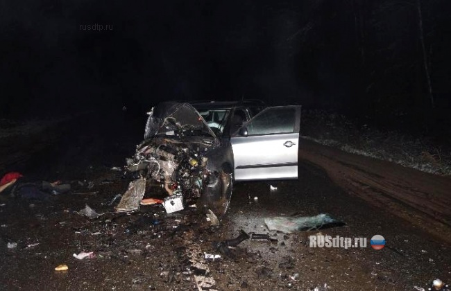 ДТП под Пермью