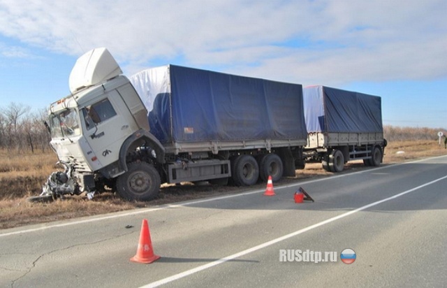 Иномарку разорвало на две части