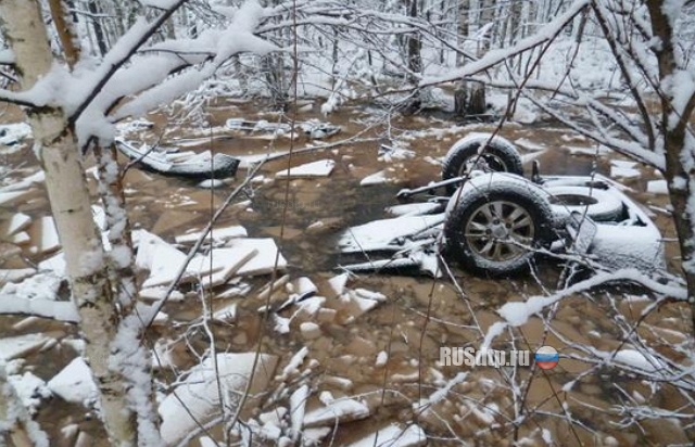 Смерть в ледяной воде