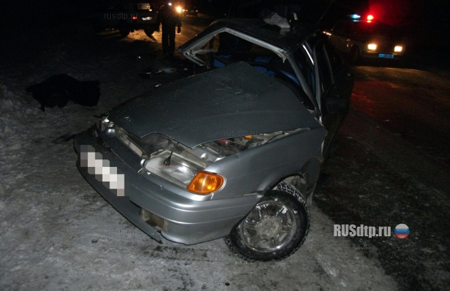 На трассе в Башкирии погибла женщина