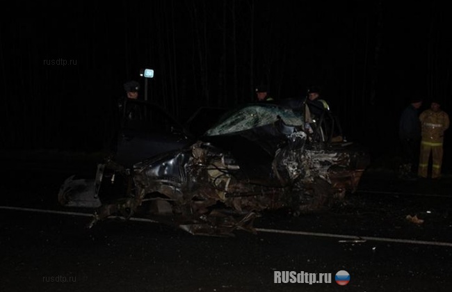 Трое погибших на трассе Санкт-Петербург &#8212; Невель