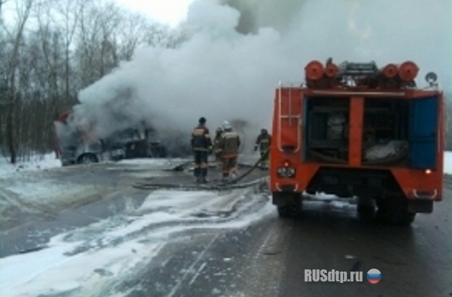 8 погибших в Пензенской области