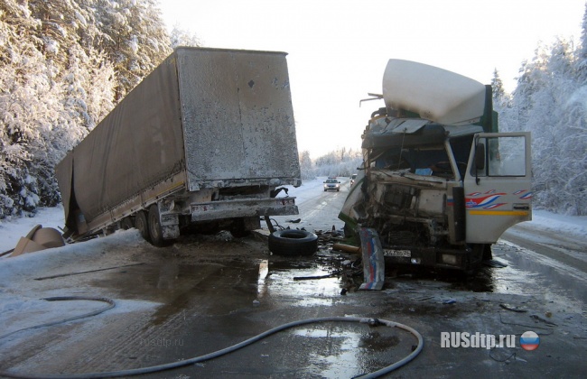 ДТП на М-8 в Архангельской области