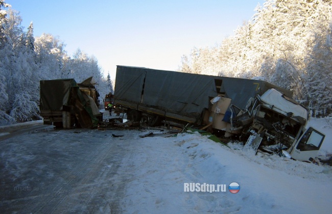 ДТП на М-8 в Архангельской области