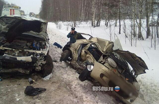 Пятеро погибших в Нижегородской области