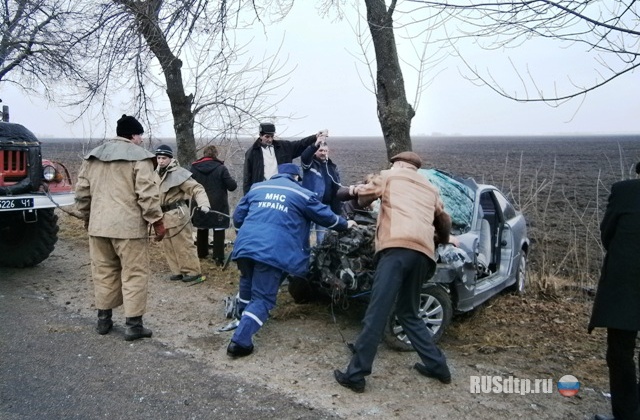 BMW врезался в дерево &#8212; водитель погиб