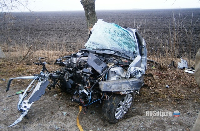BMW врезался в дерево &#8212; водитель погиб