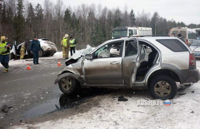 Два человека погибли в ДТП на Новодвинской трассе