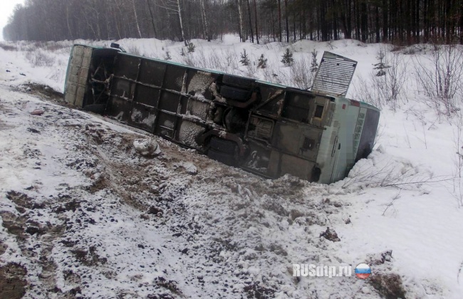 В ДТП попал автобус с болельщиками ХК «Торпедо» Нижний Новгород