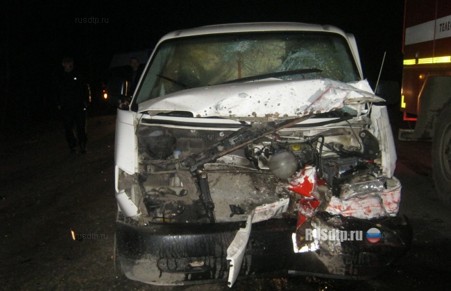 В Новгородской области в ДТП погибли 5 человек (фото)
