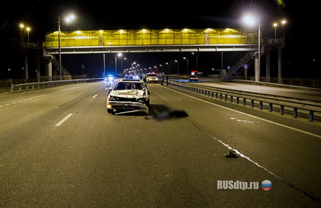 Два пешехода попали под колеса на трассе Хабаровск-Владивосток