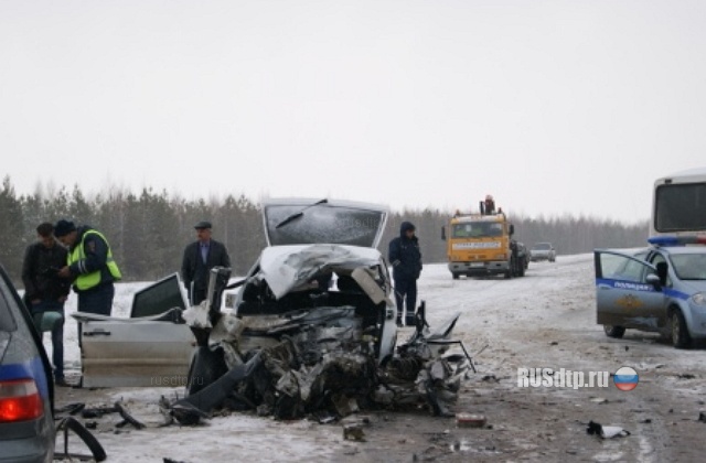 Под Елабугой погибли два человека