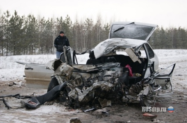 Под Елабугой погибли два человека