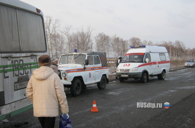 В Омской области погибли два человека